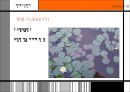 선유도공원-조성룡 14페이지