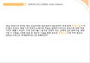 졸버레인 (렘쿨하스) 5페이지