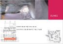 하노버 엑스포 공원(EXPO PARK HANNOVER) 13페이지