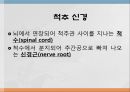 척추 수술 환자 간호(척추압박골절,VP,KP,MBB) 4페이지
