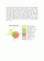 EMART 이마트E-mart  기업분석과 중국진출 마케팅사례분석/ 이마트 한국시장 성공사례분석/ 이마트 중국에서의 위기극복위한 전략제안 15페이지