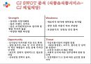 CJ 기업분석과 SWOT분석/ CJ 경영전략과 사업성공,실패사례분석 PPT, CJ 기업 현황 16페이지