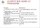 CJ 기업분석과 SWOT분석/ CJ 경영전략과 사업성공,실패사례분석 PPT, CJ 기업 현황 18페이지