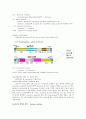 Engineering the provitamin (β-carotene Biosynthetic pathway into (cartenoid-free) Rice Endosperm 3페이지