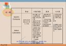 다국적 기업의 핵심역량 다각화 사례와 성공적 구조조정,선택과 집중(Choice/Concentration) 8페이지