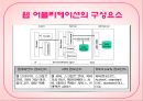 Web 기반 프로그램의 Test 16페이지