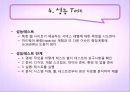 Web 기반 프로그램의 Test 34페이지