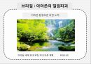 제 3세계와 환경 12페이지