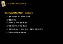 카지노 산업에 대하여 17페이지