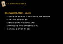 카지노 산업에 대하여 22페이지