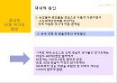 중남미국가의 외채  11페이지