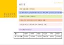 중남미국가의 외채  16페이지