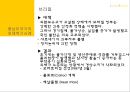중남미국가의 외채  17페이지