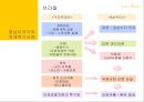 중남미국가의 외채  18페이지