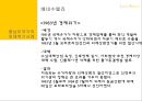 중남미국가의 외채  21페이지