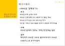 중남미국가의 외채  23페이지