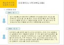 중남미국가의 외채  24페이지