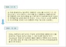 중남미국가의 외채  25페이지