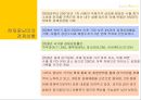 중남미국가의 외채  32페이지