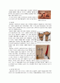 미술 속의 에로티시즘  8페이지