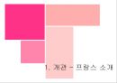 프랑스 정당정치  4페이지