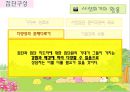 집단구성 집단의 초기단계 13페이지