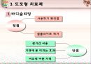  비만치료제 도포형 치료제 21페이지