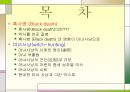 흑사병과 마녀 사냥  2페이지