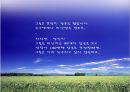 흑사병과 마녀 사냥  25페이지