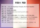 프랑스 정치 4페이지