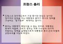 프랑스 정치 33페이지