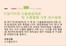 반송搬送통관 29페이지
