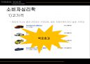 람보르기니Lamborghini 브랜드분석과 소비자분석및 람보르기니 마케팅전략 연구 PPT 11페이지