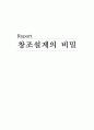 창조설계의 비밀 1페이지