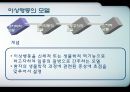 이상행동  8페이지