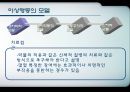 이상행동  11페이지