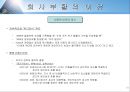 한국전기초자 기업분석  19페이지