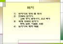 세계의 도자기  2페이지