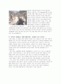 닌텐도 소개 36페이지