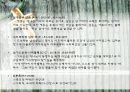 여호수아, 사사기, 룻기 11페이지