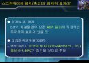 스크린쿼터 정책 분석  8페이지