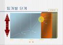 팀 개발과 관리  16페이지