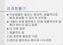 팀 개발과 관리  21페이지