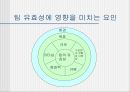 팀 개발과 관리  24페이지