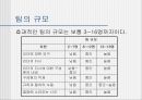 팀 개발과 관리  27페이지