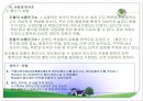 연시조에관한 논쟁  11페이지