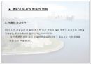 현대 인지적 관점 13페이지