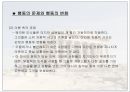 현대 인지적 관점 14페이지