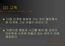 프로이트의 성격이론 17페이지