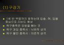 프로이트의 성격이론 23페이지